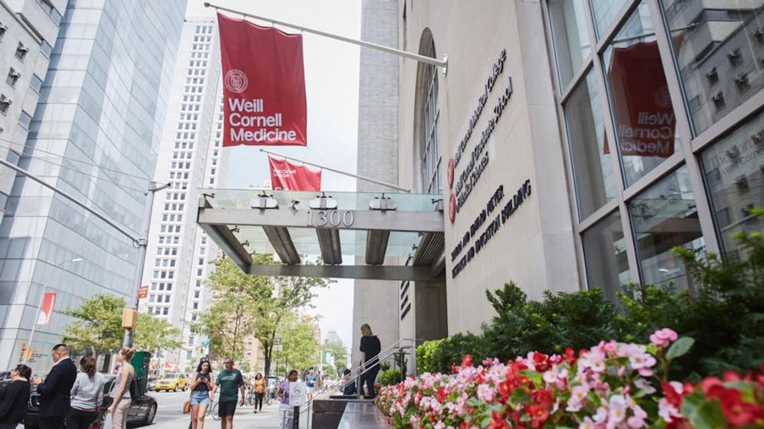 Photo accompanying The Cornell Daily Sun report about Cornell’s AI Critical Literacy Program; the supplied source text does not describe the photograph’s contents.