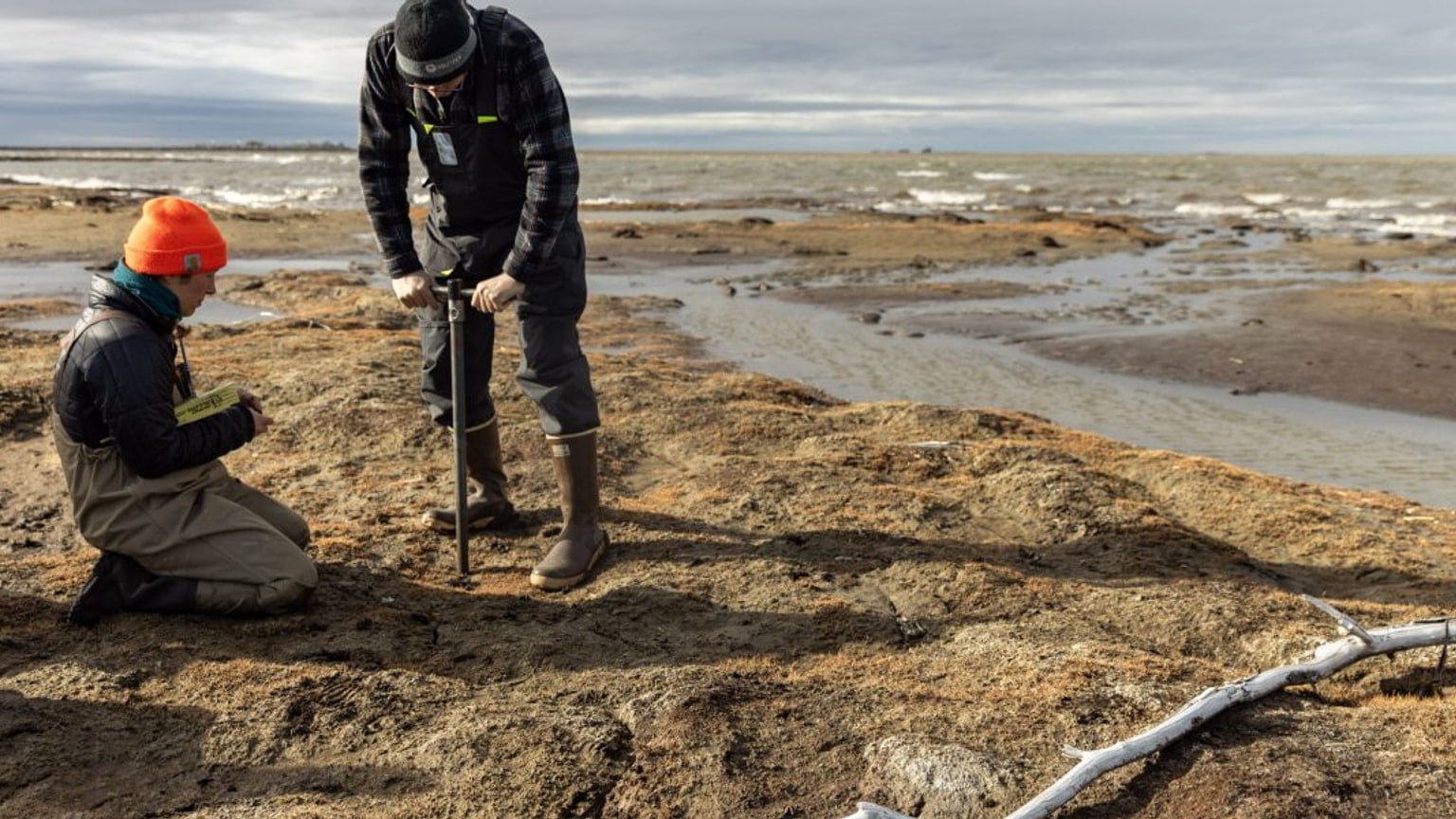 Source-provided image accompanying Fortune reports AI system is tracking permafrost thaw across the Arctic