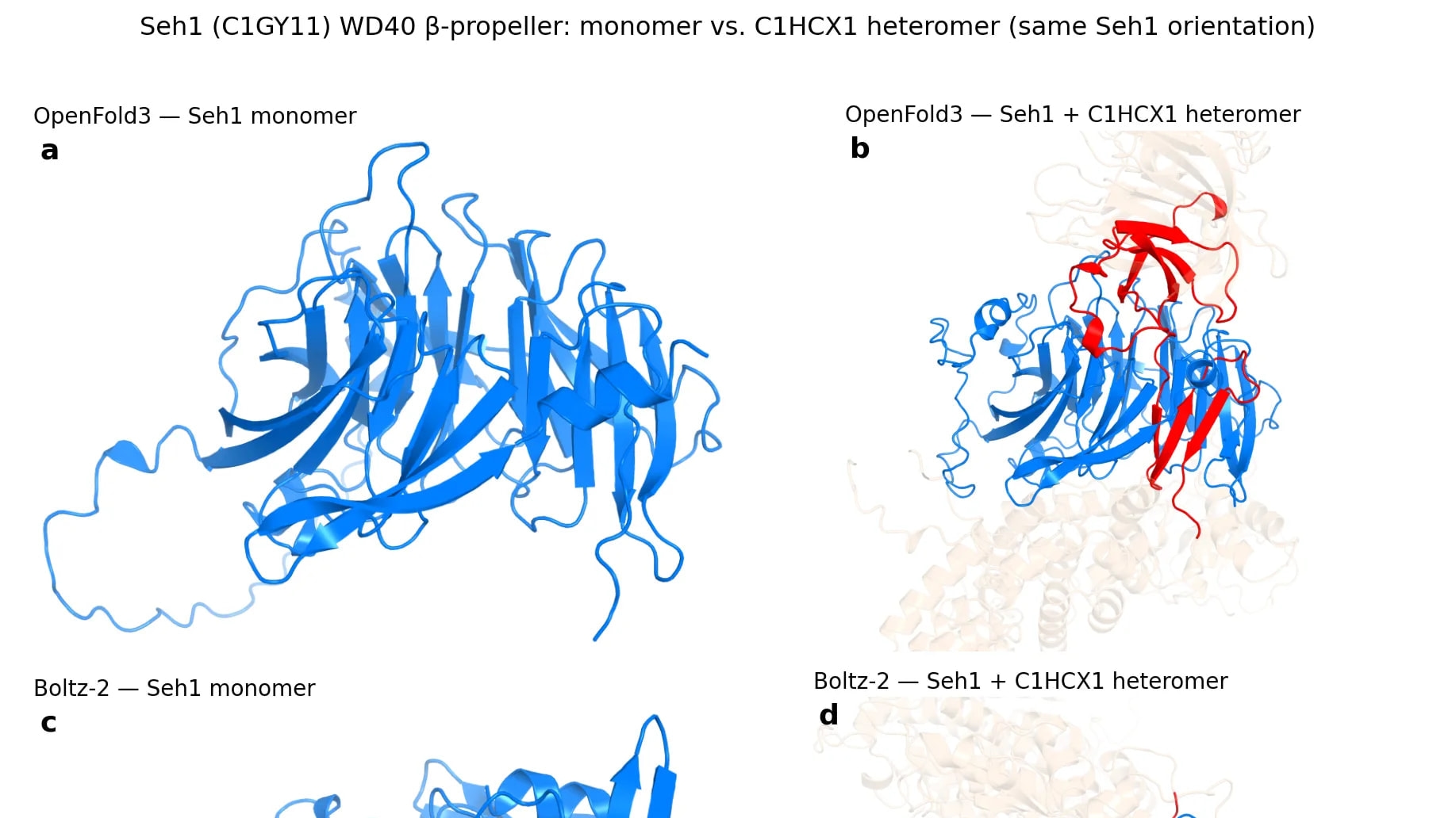 Source-provided image accompanying NVIDIA links BioNeMo protein-folding services to Anthropic’s Claude Science