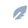 NeuronWriter logo